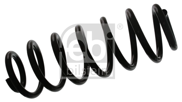 Suspension Spring
